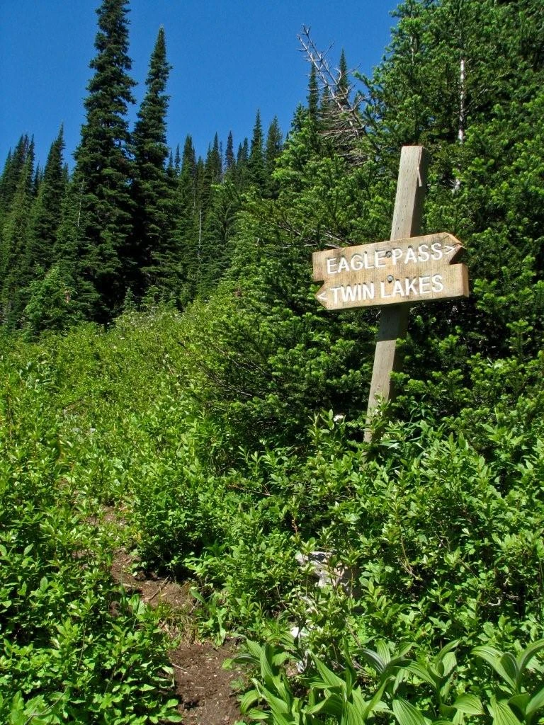 Photo: Recreation Sites and Trails BC. © Province of British Columbia, licensed under the Open Government Licence – British Columbia. Eagle Pass Ridge, photo 1
