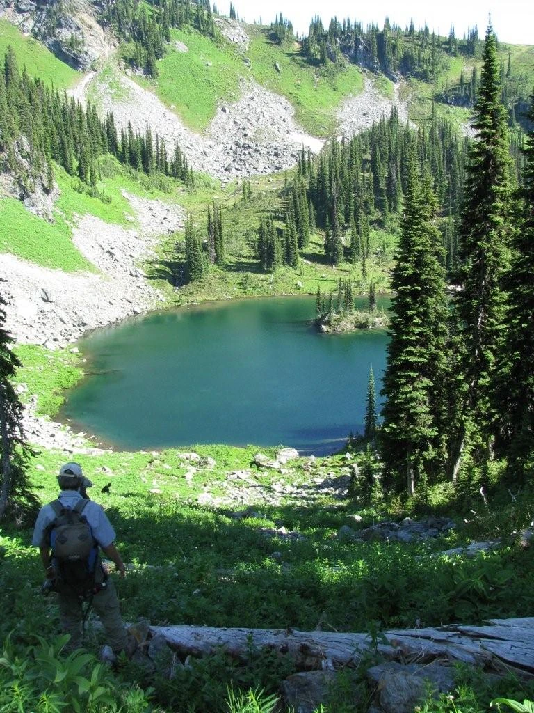 Photo: Recreation Sites and Trails BC. © Province of British Columbia, licensed under the Open Government Licence – British Columbia. Eagle Pass Ridge, photo 15