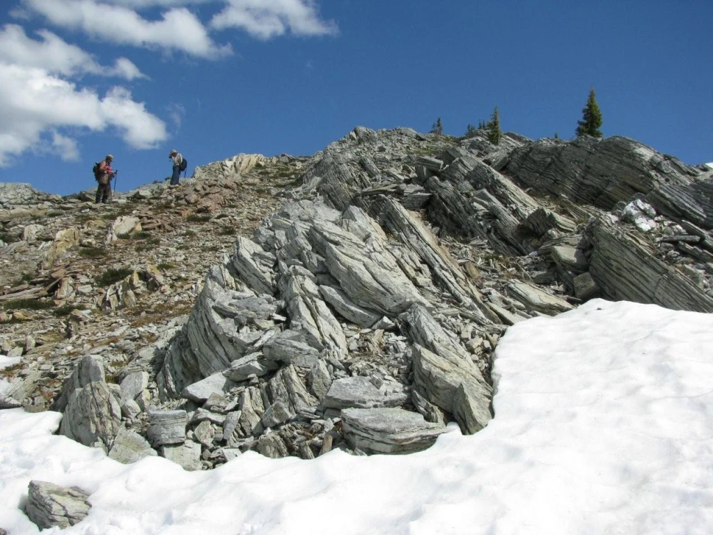 Photo: Recreation Sites and Trails BC. © Province of British Columbia, licensed under the Open Government Licence – British Columbia. Eagle Pass Ridge, photo 12