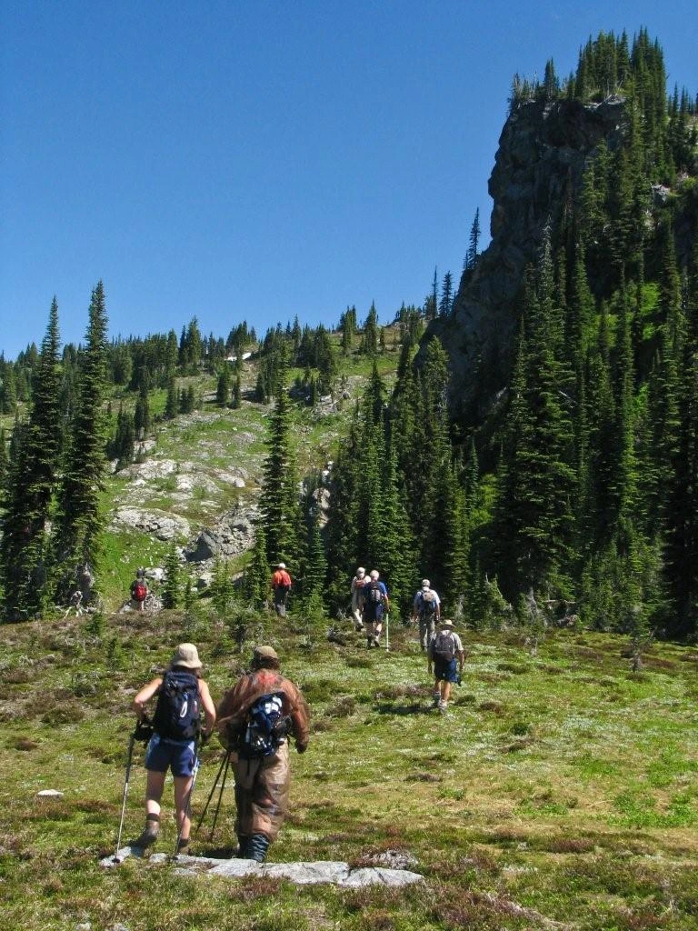 Photo: Recreation Sites and Trails BC. © Province of British Columbia, licensed under the Open Government Licence – British Columbia. Eagle Pass Ridge, photo 2