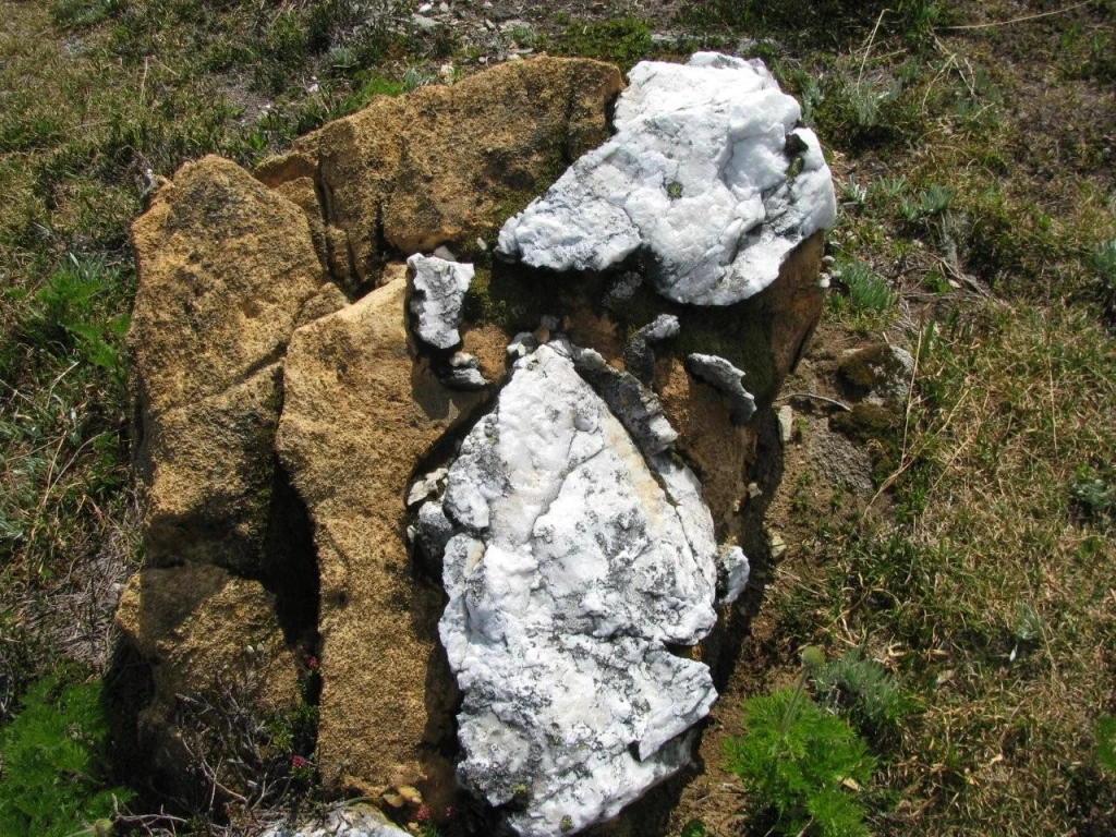 Photo: Recreation Sites and Trails BC. © Province of British Columbia, licensed under the Open Government Licence – British Columbia. Eagle Pass Ridge, photo 14