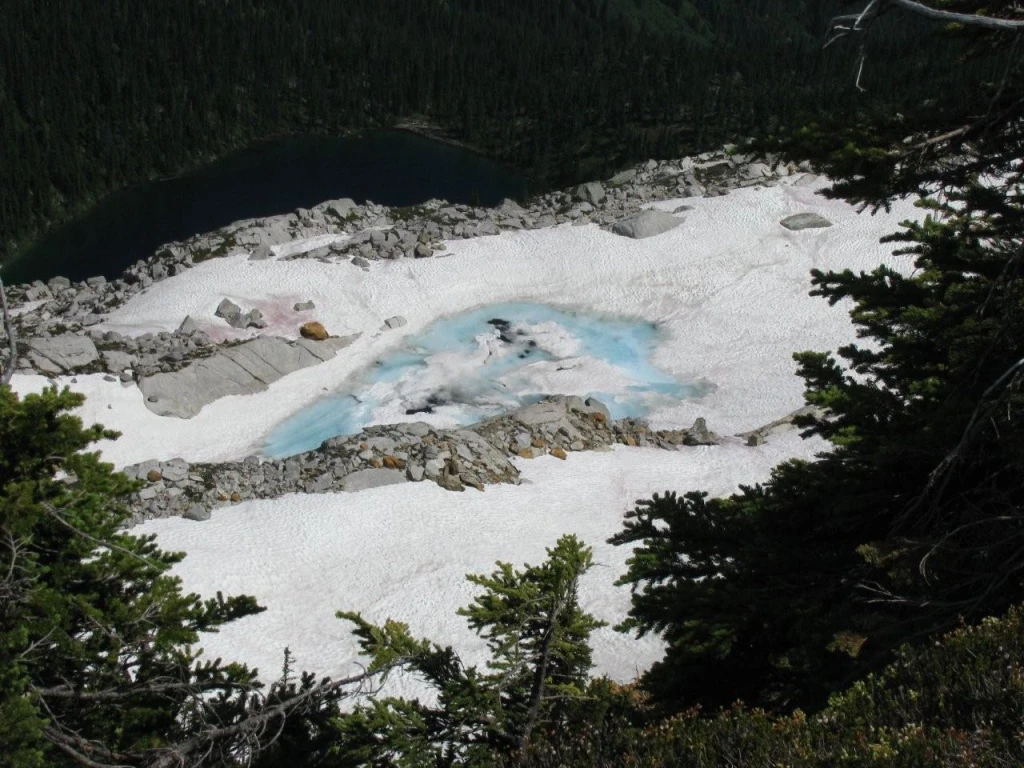 Photo: Recreation Sites and Trails BC. © Province of British Columbia, licensed under the Open Government Licence – British Columbia. Eagle Pass Ridge, photo 13