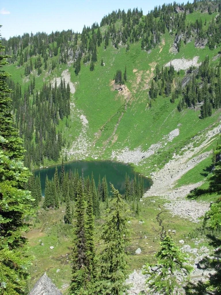 Photo: Recreation Sites and Trails BC. © Province of British Columbia, licensed under the Open Government Licence – British Columbia. Eagle Pass Ridge, photo 7