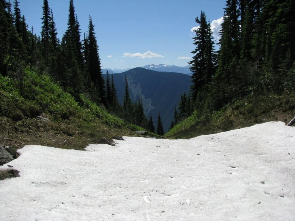Photo: Recreation Sites and Trails BC. © Province of British Columbia, licensed under the Open Government Licence – British Columbia. Eagle Pass Ridge, photo 8
