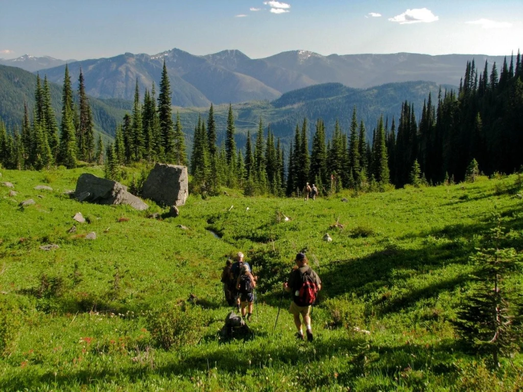 Photo: Recreation Sites and Trails BC. © Province of British Columbia, licensed under the Open Government Licence – British Columbia. Eagle Pass Ridge, photo 6