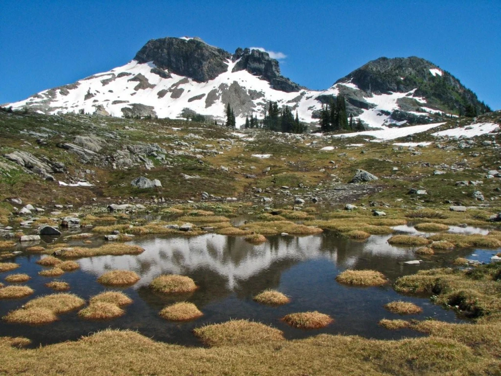 Photo: Recreation Sites and Trails BC. © Province of British Columbia, licensed under the Open Government Licence – British Columbia. Eagle Pass Ridge, photo 5