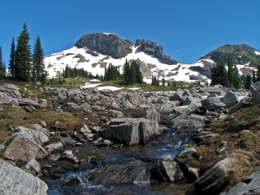 Photo: Recreation Sites and Trails BC. © Province of British Columbia, licensed under the Open Government Licence – British Columbia. Eagle Pass Ridge, photo 4