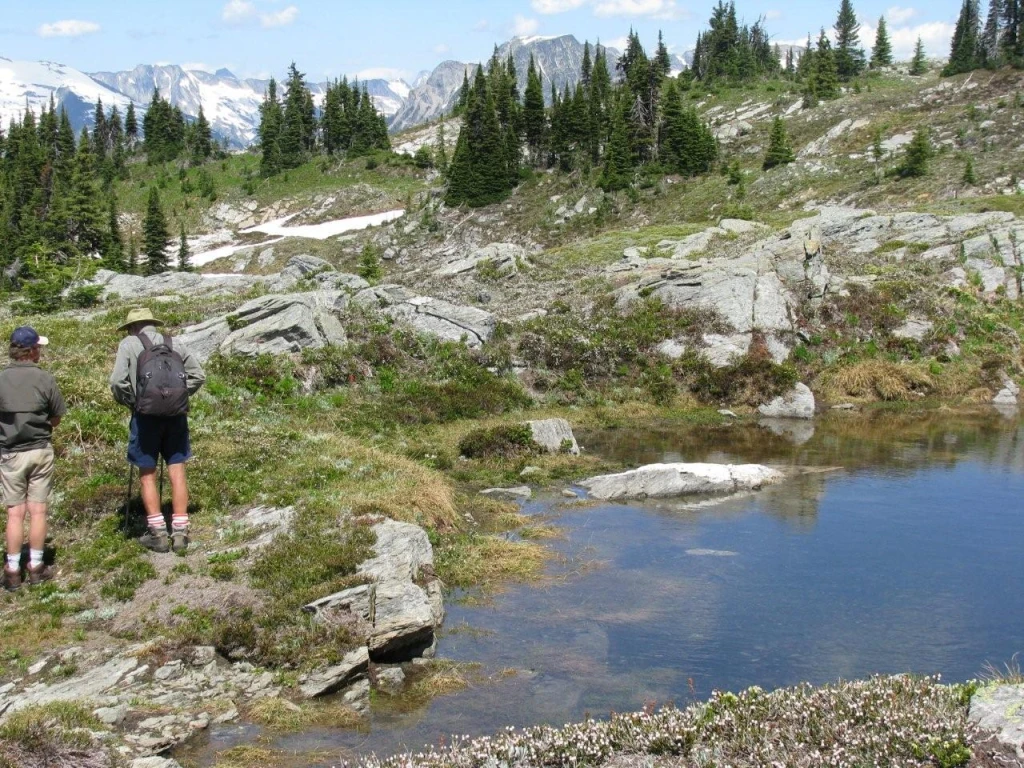 Photo: Recreation Sites and Trails BC. © Province of British Columbia, licensed under the Open Government Licence – British Columbia. Eagle Pass Ridge, photo 10