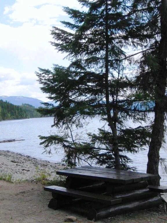 Photo: Recreation Sites and Trails BC. © Province of British Columbia, licensed under the Open Government Licence – British Columbia. Tsikwustum Creek South, photo 3