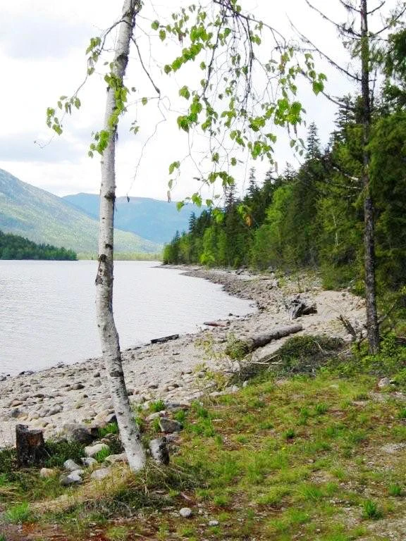 Photo: Recreation Sites and Trails BC. © Province of British Columbia, licensed under the Open Government Licence – British Columbia. Tsikwustum Creek South, photo 2