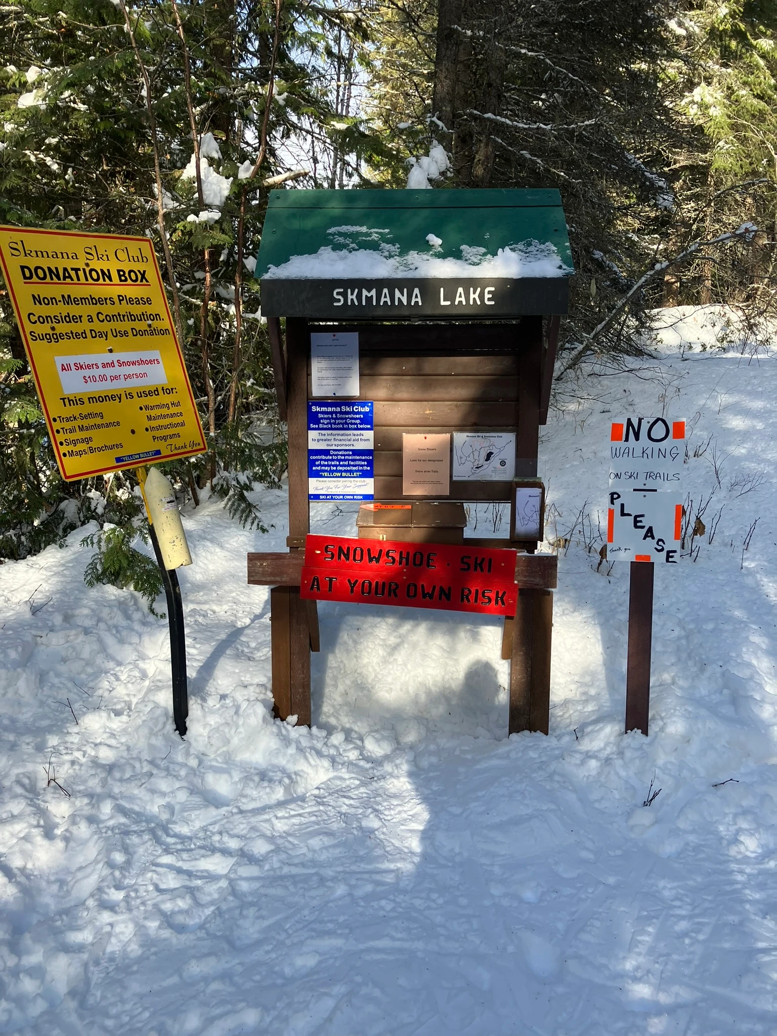 Photo: Recreation Sites and Trails BC. © Province of British Columbia, licensed under the Open Government Licence – British Columbia. Skmana Lake Trail Network, photo 1