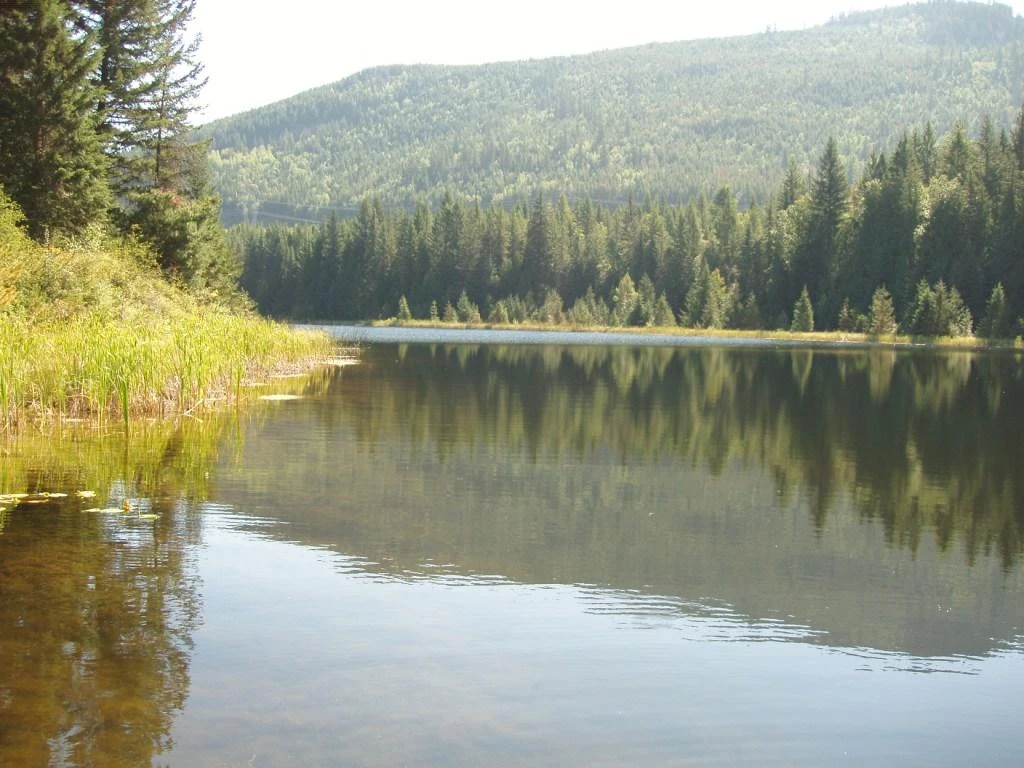 Photo: Recreation Sites and Trails BC. © Province of British Columbia, licensed under the Open Government Licence – British Columbia. Skmana Lake Trail Network, photo 9