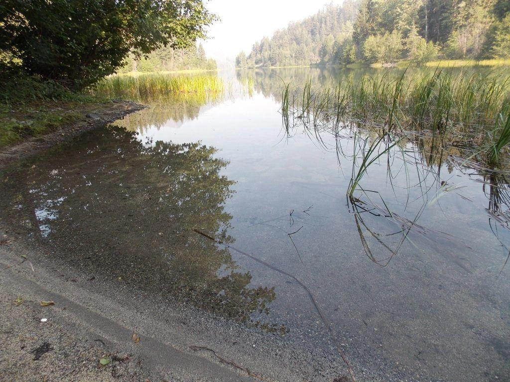 Photo: Recreation Sites and Trails BC. © Province of British Columbia, licensed under the Open Government Licence – British Columbia. Marshall Creek, photo 4