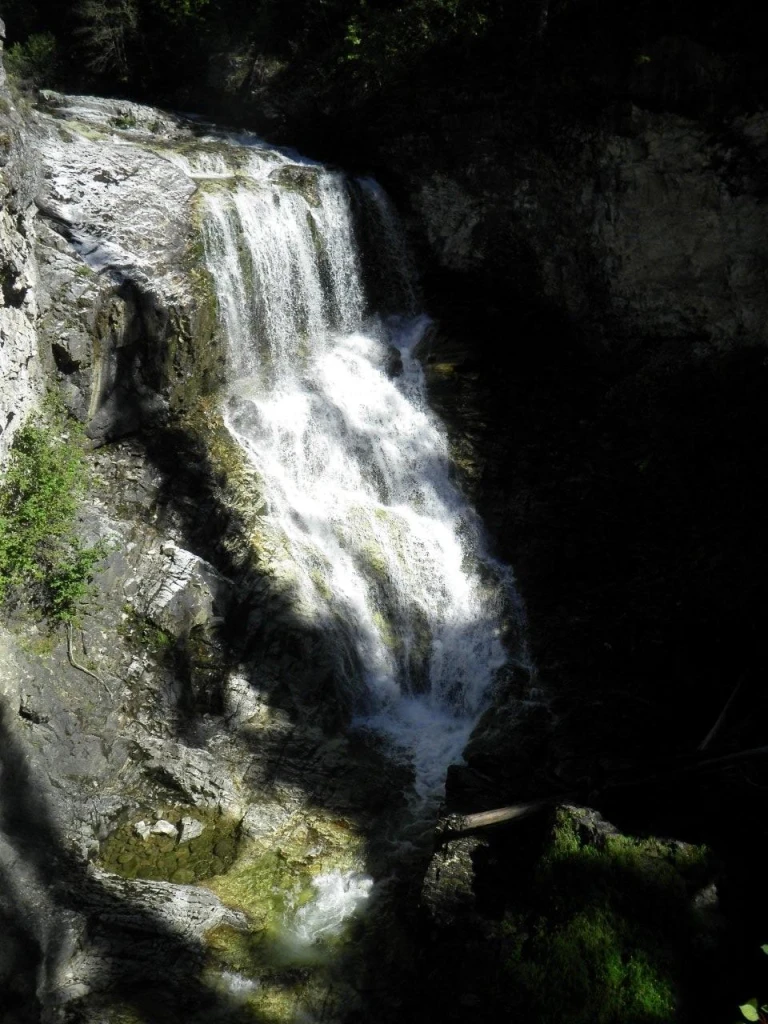 Photo: Recreation Sites and Trails BC. © Province of British Columbia, licensed under the Open Government Licence – British Columbia. Winnifred Creek