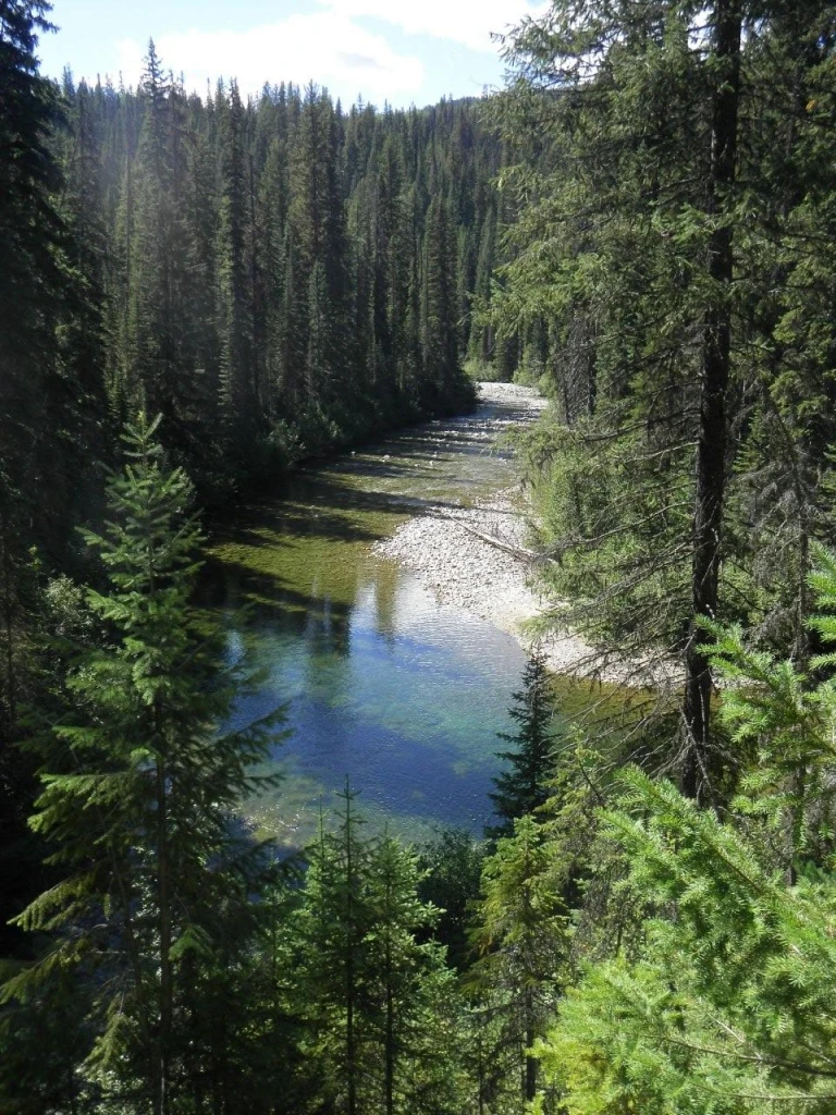 Photo: Recreation Sites and Trails BC. © Province of British Columbia, licensed under the Open Government Licence – British Columbia. Winnifred Creek, photo 2