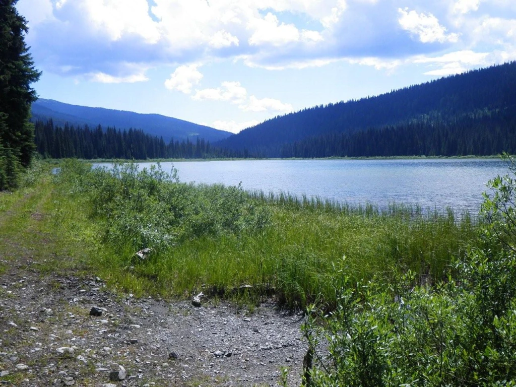 Photo: Recreation Sites and Trails BC. © Province of British Columbia, licensed under the Open Government Licence – British Columbia. Holmes Lake, photo 2