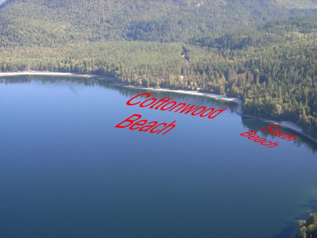 Photo: Recreation Sites and Trails BC. © Province of British Columbia, licensed under the Open Government Licence – British Columbia. Cottonwood Beach, photo 6