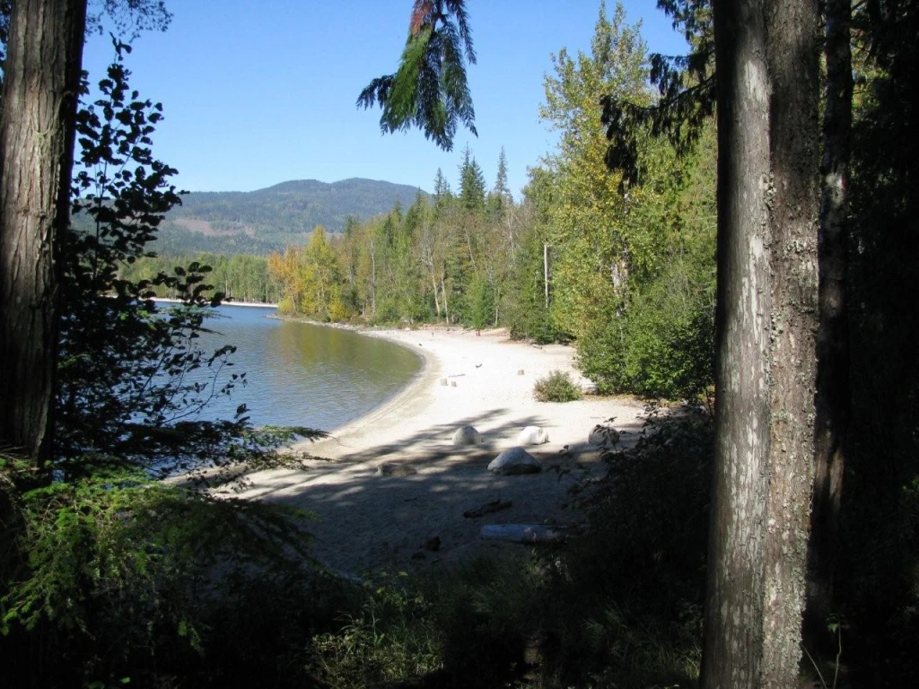 Photo: Recreation Sites and Trails BC. © Province of British Columbia, licensed under the Open Government Licence – British Columbia. Cottonwood Beach, photo 5