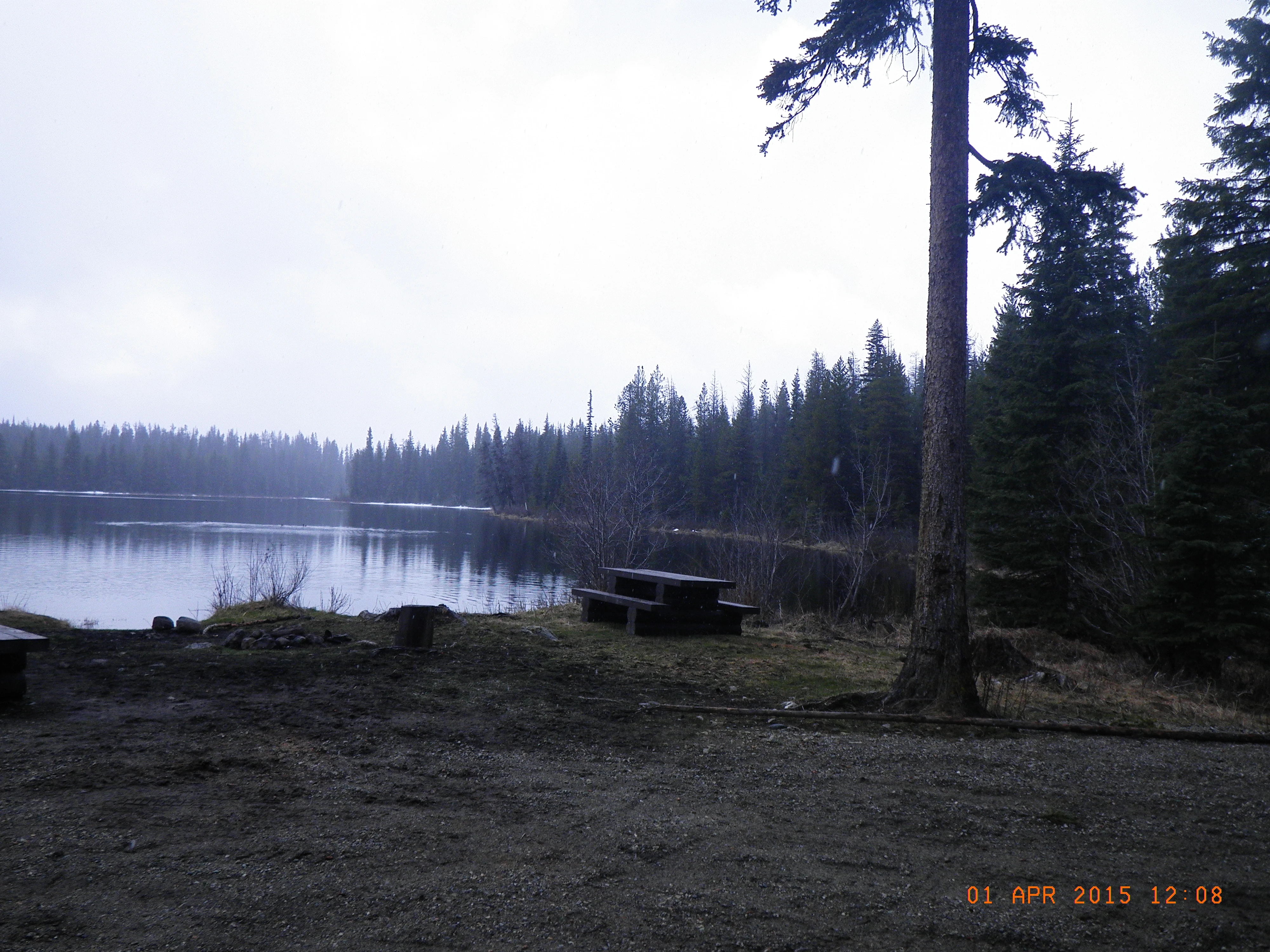 Photo: Recreation Sites and Trails BC. © Province of British Columbia, licensed under the Open Government Licence – British Columbia. Specs Lakes, photo 7