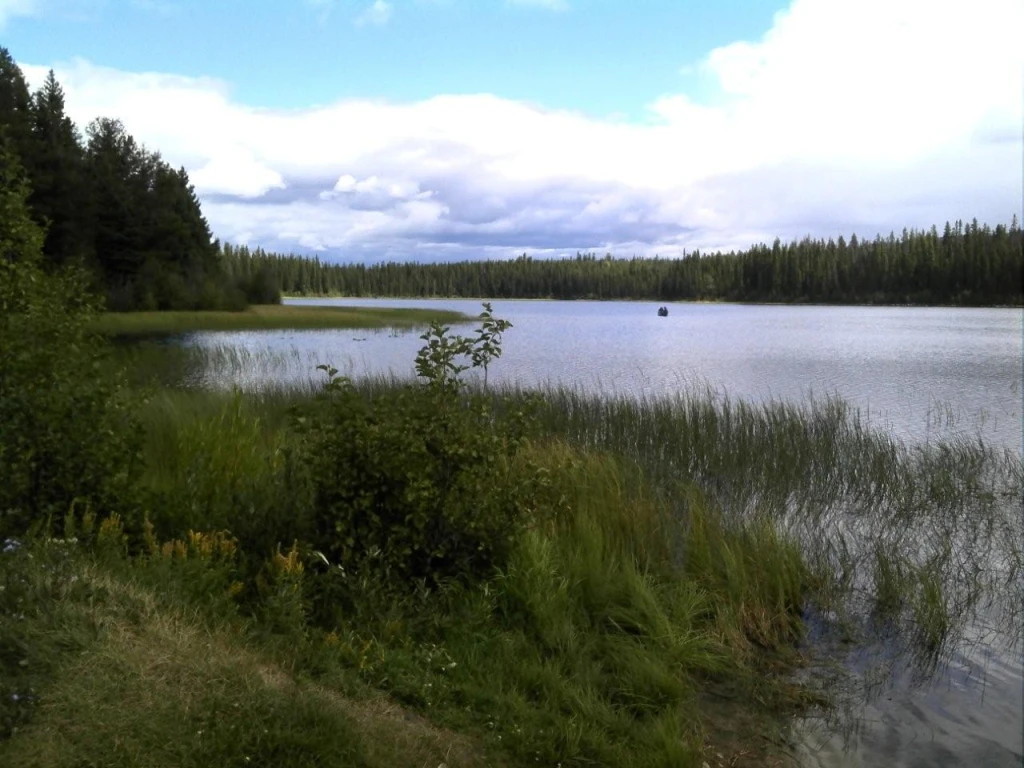 Photo: Recreation Sites and Trails BC. © Province of British Columbia, licensed under the Open Government Licence – British Columbia. Specs Lakes, photo 3