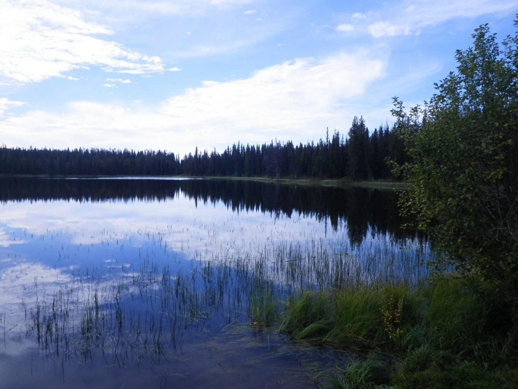 Photo: Recreation Sites and Trails BC. © Province of British Columbia, licensed under the Open Government Licence – British Columbia. Specs Lakes