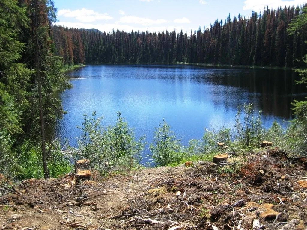 Photo: Recreation Sites and Trails BC. © Province of British Columbia, licensed under the Open Government Licence – British Columbia. White Lake