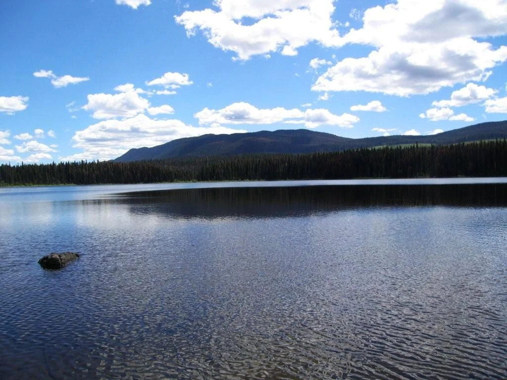 Photo: Recreation Sites and Trails BC. © Province of British Columbia, licensed under the Open Government Licence – British Columbia. Windy Lake, photo 2