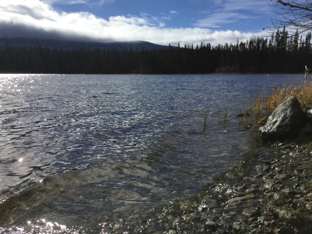 Photo: Recreation Sites and Trails BC. © Province of British Columbia, licensed under the Open Government Licence – British Columbia. Windy Lake