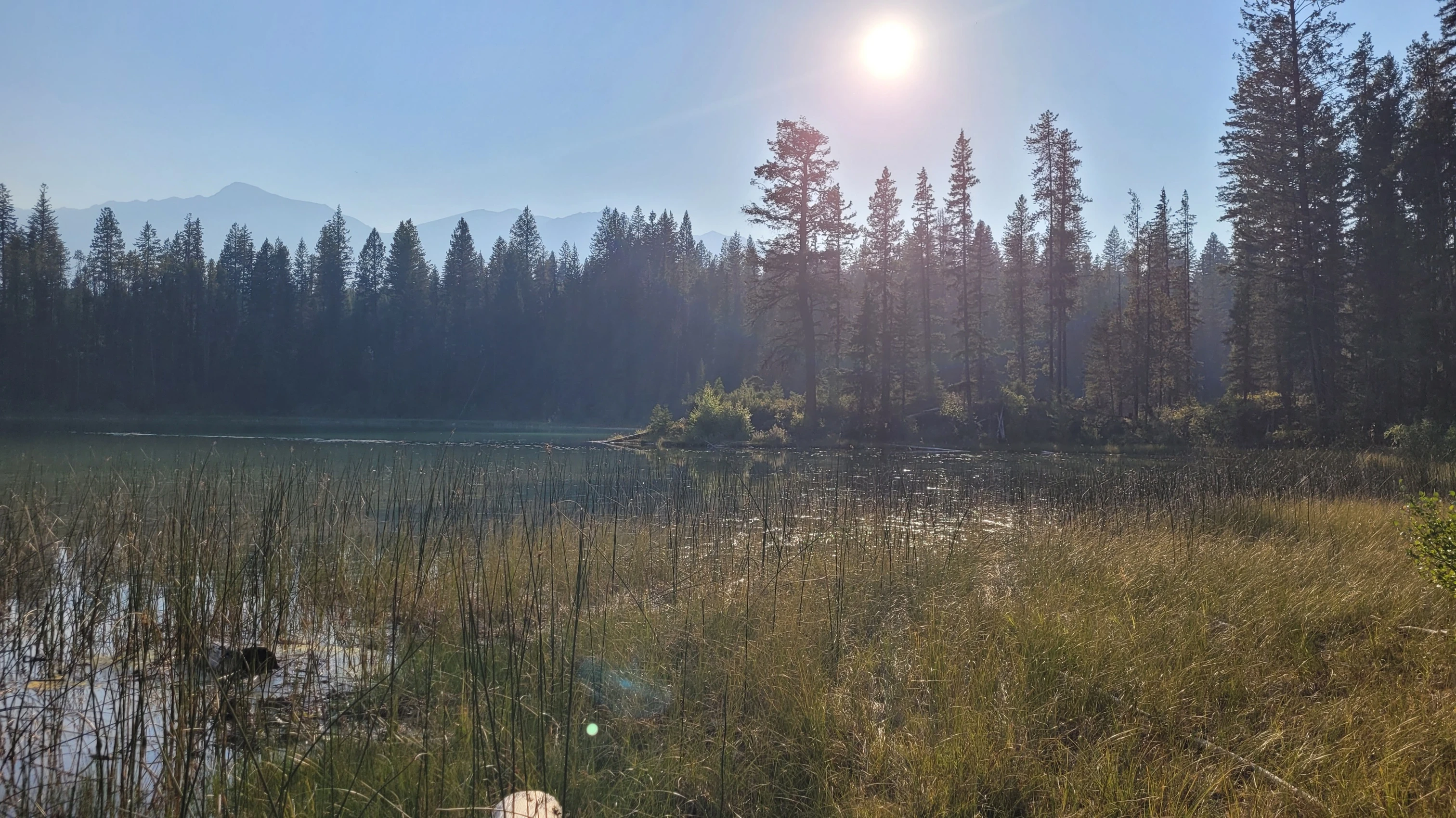 Photo: Recreation Sites and Trails BC. © Province of British Columbia, licensed under the Open Government Licence – British Columbia. Halgrave Lakes, photo 2