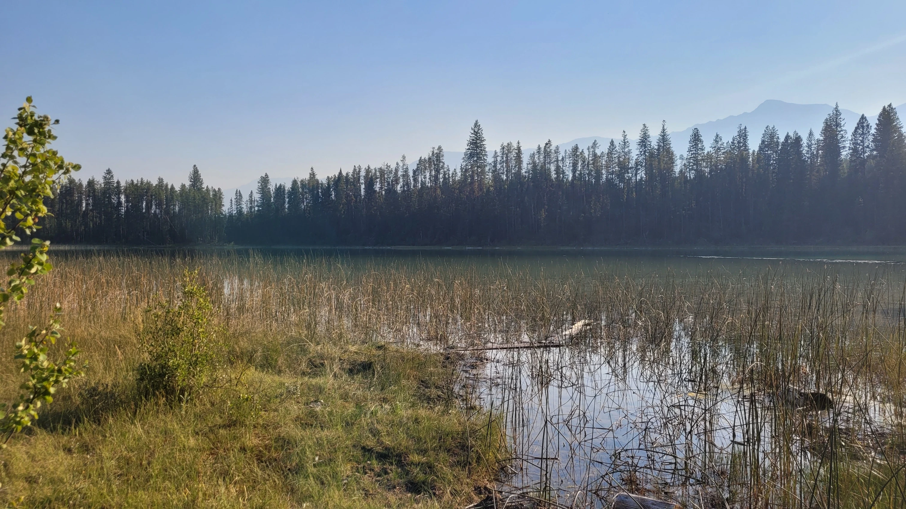 Photo: Recreation Sites and Trails BC. © Province of British Columbia, licensed under the Open Government Licence – British Columbia. Halgrave Lakes