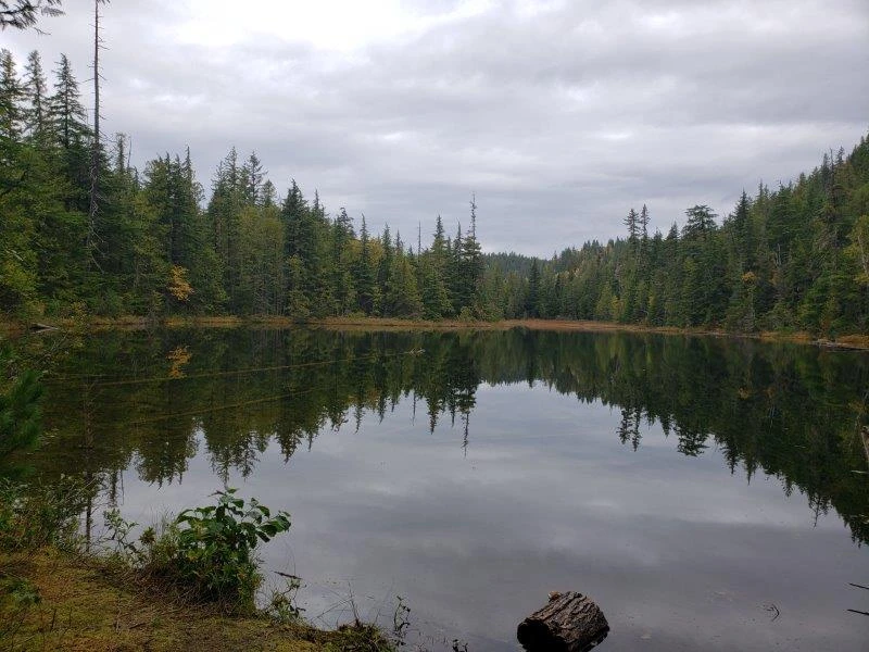 Photo: Recreation Sites and Trails BC. © Province of British Columbia, licensed under the Open Government Licence – British Columbia. Harris Lake, photo 3