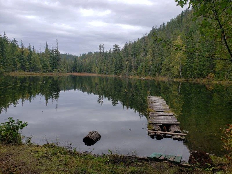 Photo: Recreation Sites and Trails BC. © Province of British Columbia, licensed under the Open Government Licence – British Columbia. Harris Lake, photo 4