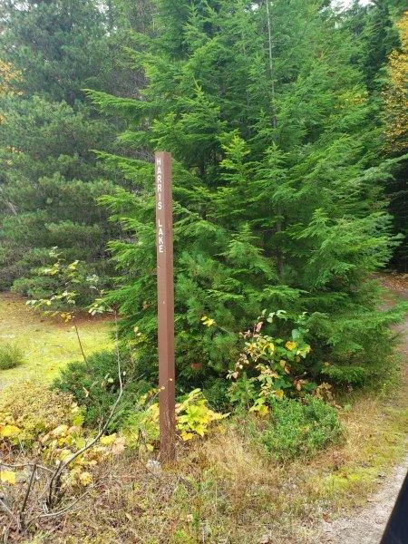 Photo: Recreation Sites and Trails BC. © Province of British Columbia, licensed under the Open Government Licence – British Columbia. Harris Lake, photo 6