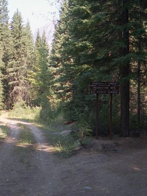 Photo: Recreation Sites and Trails BC. © Province of British Columbia, licensed under the Open Government Licence – British Columbia. Stockdale Creek, photo 5