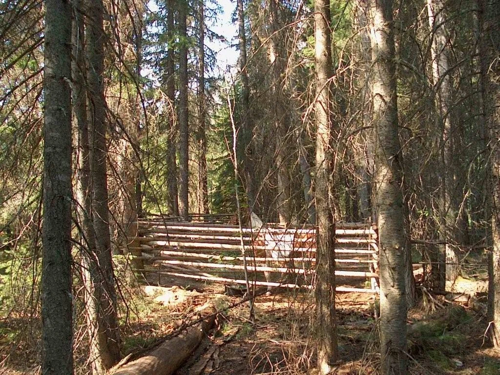 Photo: Recreation Sites and Trails BC. © Province of British Columbia, licensed under the Open Government Licence – British Columbia. Stockdale Creek, photo 4