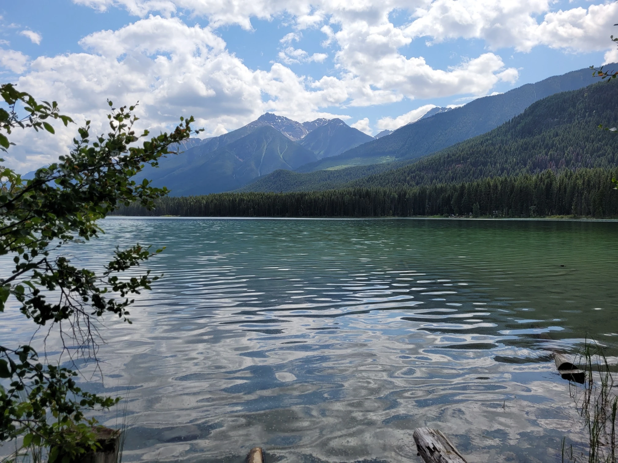 Photo: Recreation Sites and Trails BC. © Province of British Columbia, licensed under the Open Government Licence – British Columbia. Cartwright Lake, photo 2