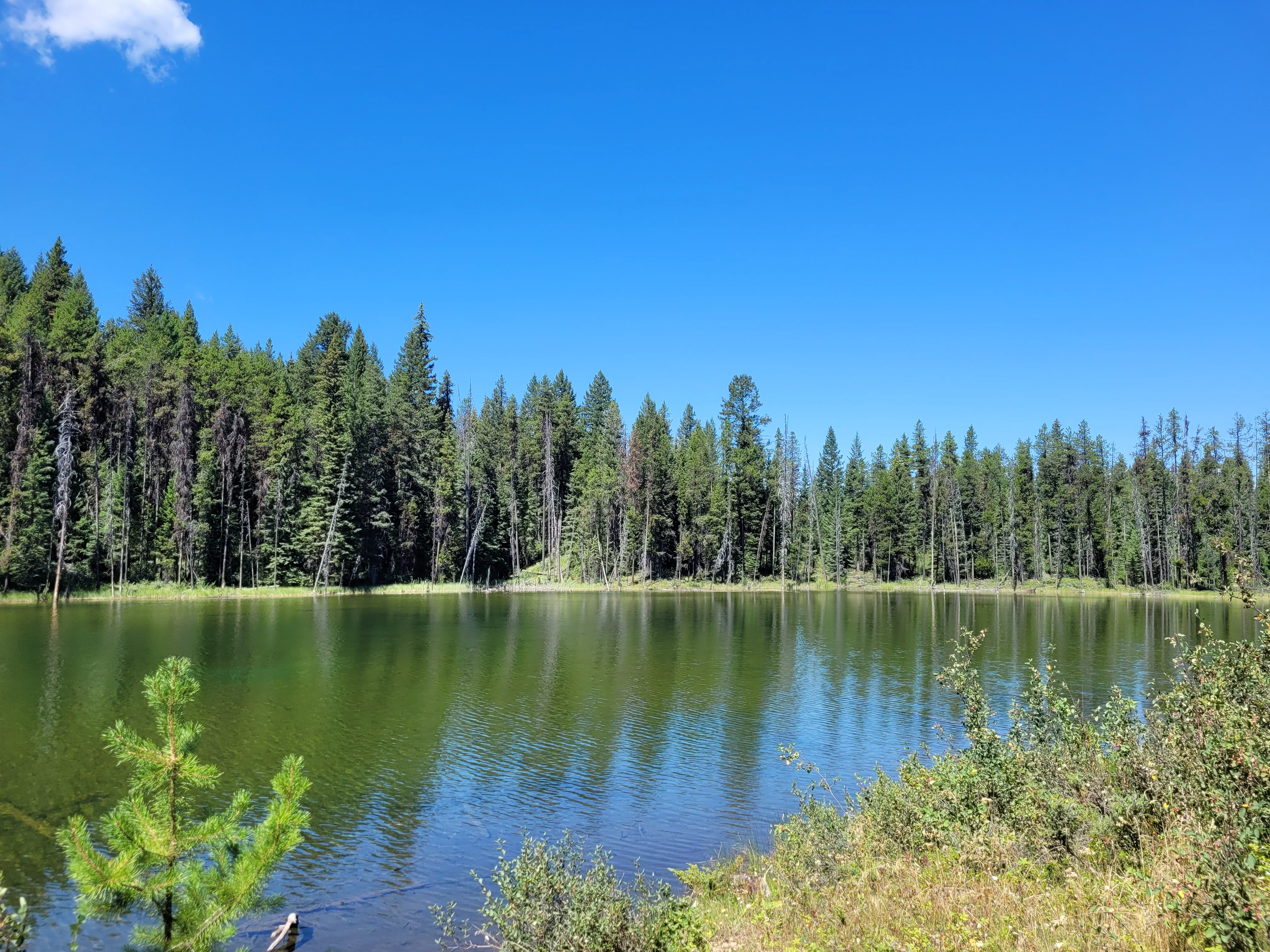 Photo: Recreation Sites and Trails BC. © Province of British Columbia, licensed under the Open Government Licence – British Columbia. Twin (Fish) Lakes, photo 2