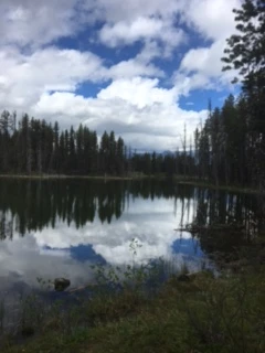 Photo: Recreation Sites and Trails BC. © Province of British Columbia, licensed under the Open Government Licence – British Columbia. Twin (Fish) Lakes, photo 5