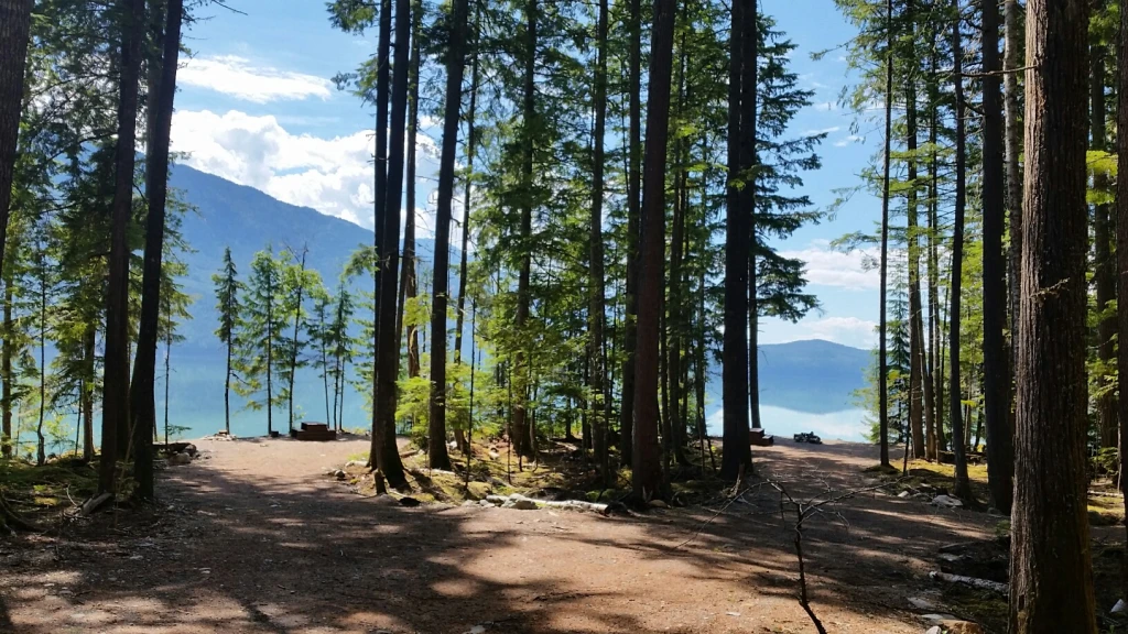 Photo: Recreation Sites and Trails BC. © Province of British Columbia, licensed under the Open Government Licence – British Columbia. Hadow Creek, photo 3