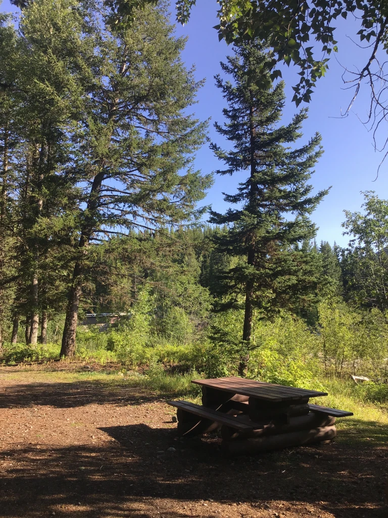 Photo: Recreation Sites and Trails BC. © Province of British Columbia, licensed under the Open Government Licence – British Columbia. Pollock Creek, photo 2