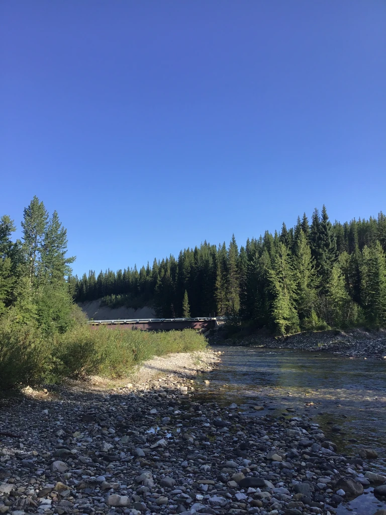 Photo: Recreation Sites and Trails BC. © Province of British Columbia, licensed under the Open Government Licence – British Columbia. Pollock Creek, photo 3