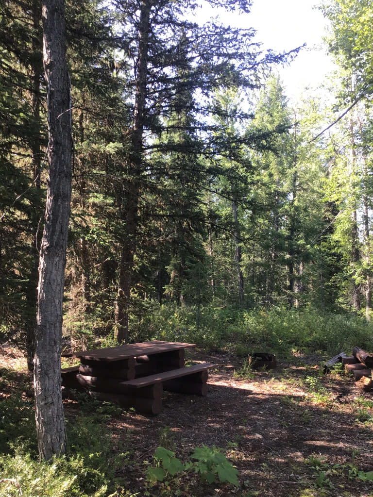 Photo: Recreation Sites and Trails BC. © Province of British Columbia, licensed under the Open Government Licence – British Columbia. Pollock Creek