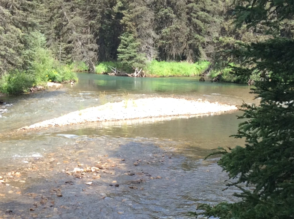 Photo: Recreation Sites and Trails BC. © Province of British Columbia, licensed under the Open Government Licence – British Columbia. Riverside, photo 6