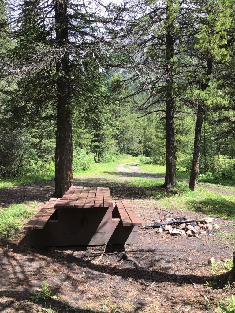Photo: Recreation Sites and Trails BC. © Province of British Columbia, licensed under the Open Government Licence – British Columbia. Riverside, photo 5