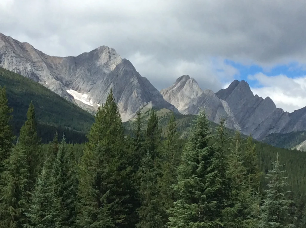 Photo: Recreation Sites and Trails BC. © Province of British Columbia, licensed under the Open Government Licence – British Columbia. Riverside, photo 7