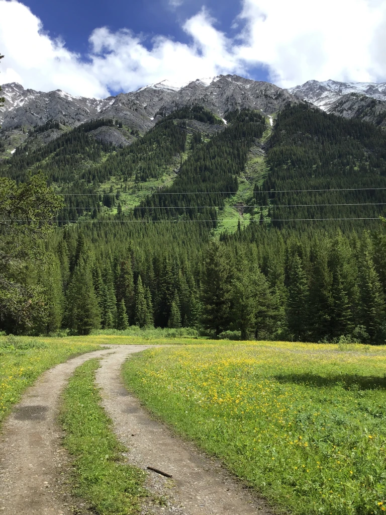 Photo: Recreation Sites and Trails BC. © Province of British Columbia, licensed under the Open Government Licence – British Columbia. Riverside, photo 4