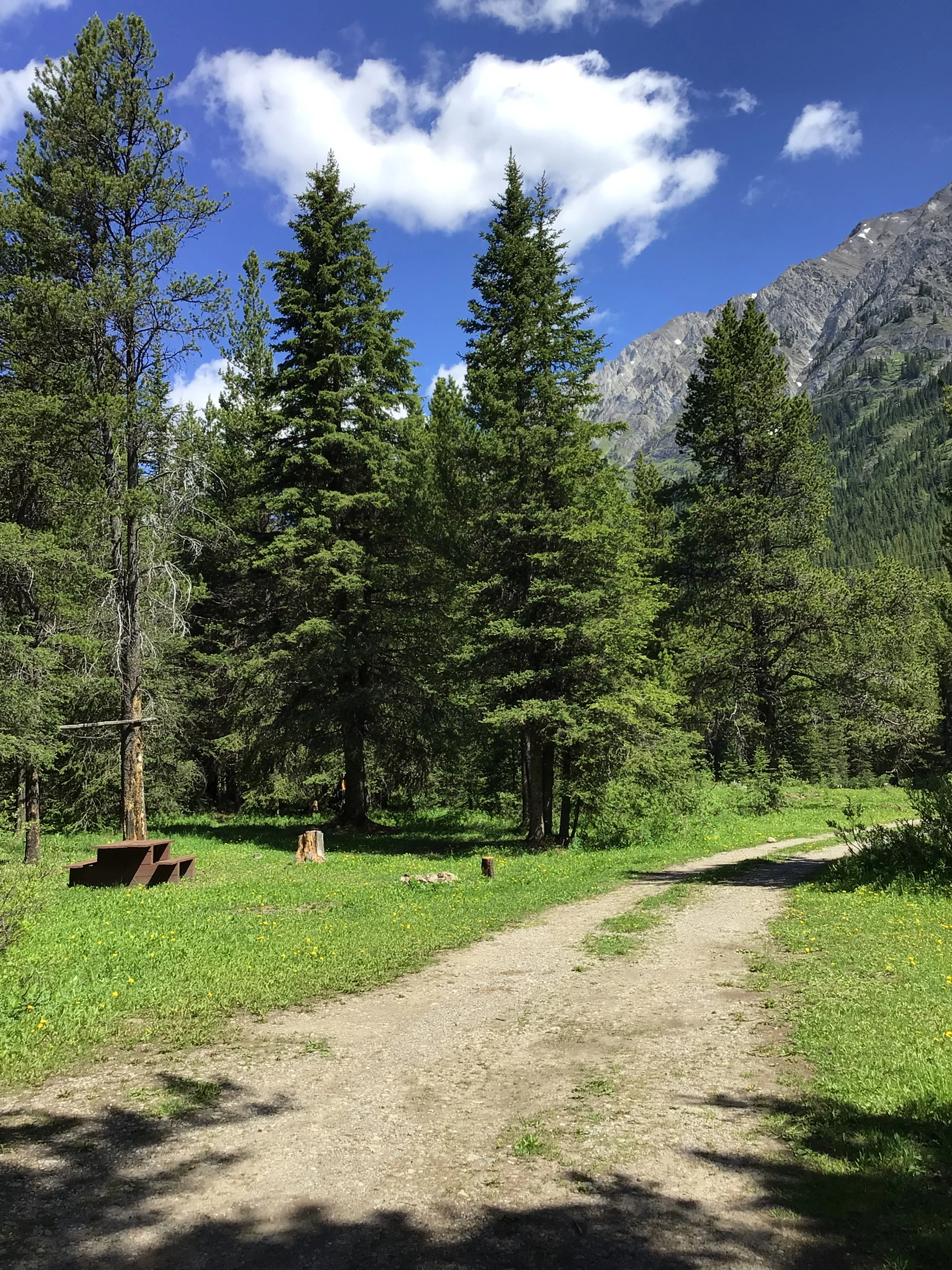 Photo: Recreation Sites and Trails BC. © Province of British Columbia, licensed under the Open Government Licence – British Columbia. Riverside