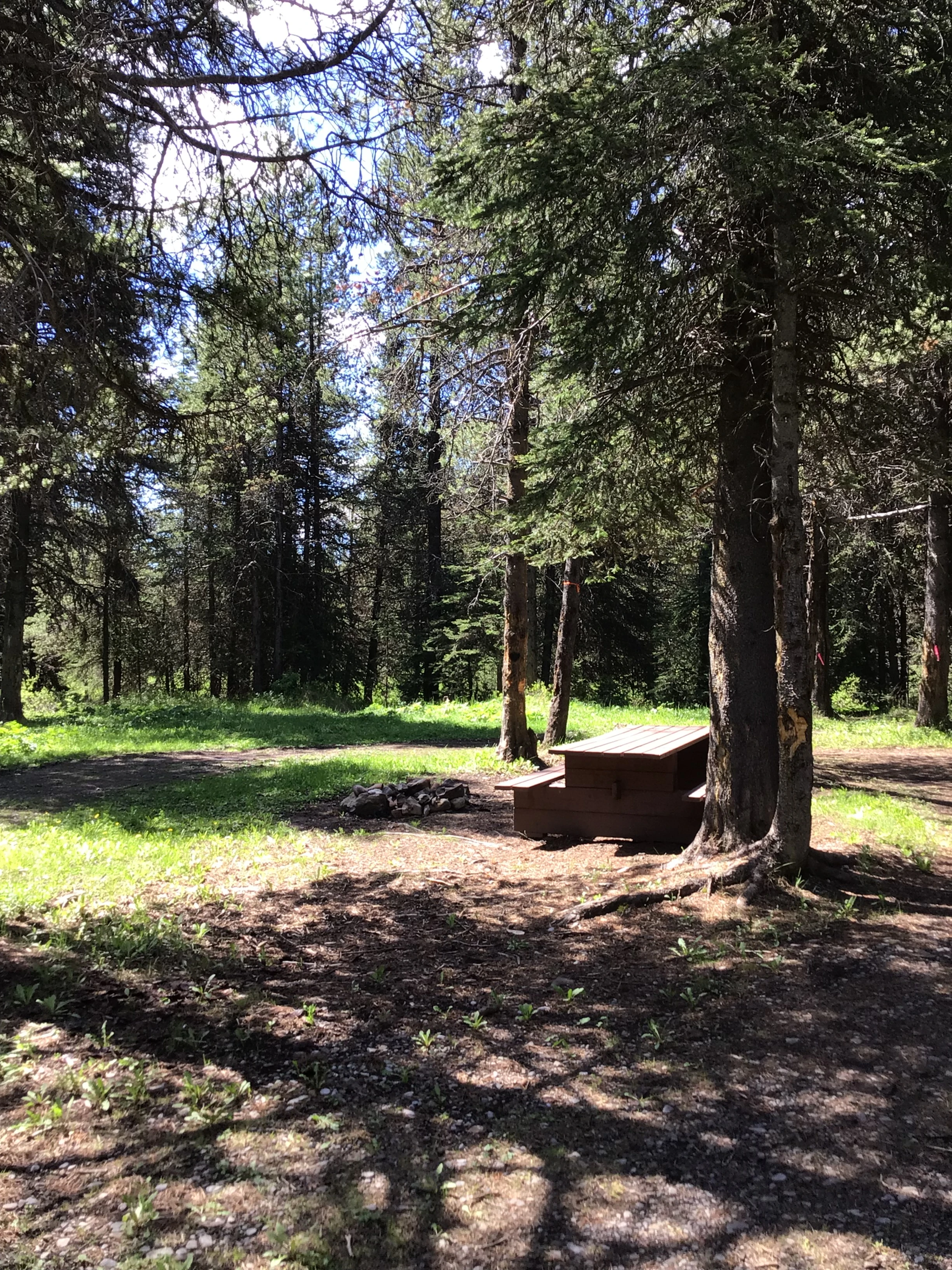 Photo: Recreation Sites and Trails BC. © Province of British Columbia, licensed under the Open Government Licence – British Columbia. Riverside, photo 2