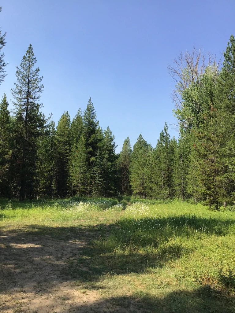Photo: Recreation Sites and Trails BC. © Province of British Columbia, licensed under the Open Government Licence – British Columbia. Howell Creek