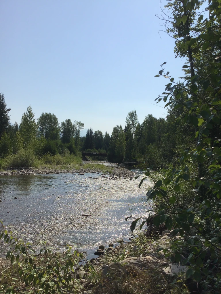 Photo: Recreation Sites and Trails BC. © Province of British Columbia, licensed under the Open Government Licence – British Columbia. Howell Creek, photo 2